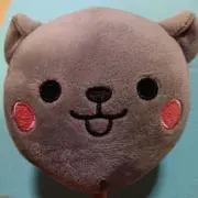 みわの画像