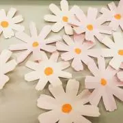 キサラギの画像