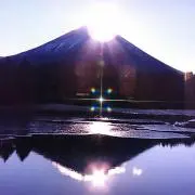 なまずの画像