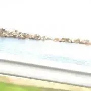 おかっぱ