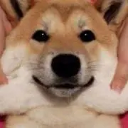 Daisukeの画像