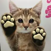 さらの画像