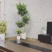 SGR