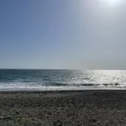 海