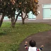 ガチャピンの画像
