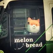 えり