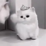 たこやきの画像
