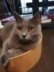 ツッチー
