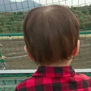 ヒロベの画像