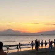 いがの画像