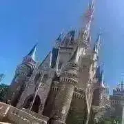 プロフ必読※代行・ID❌次回発送23日〜の画像