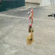 まさひろの画像