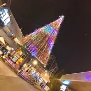 hamachiの画像
