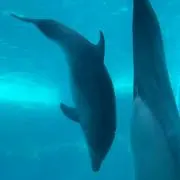 みぃ♡