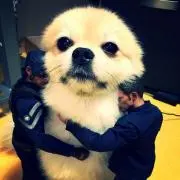 r a