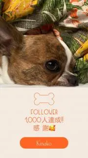 ゆんゆんの画像