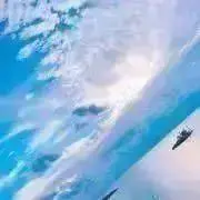 いちご。の画像
