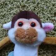 あっこ
