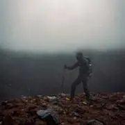Michael Woodの画像