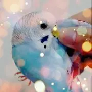 JUN