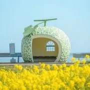 MeLonの画像