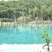 chocola【匿名配送】の画像