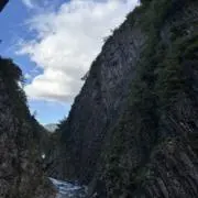 わこむの画像