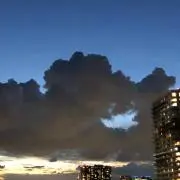 のぞみの画像