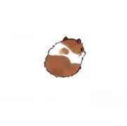 Hamu.fの画像