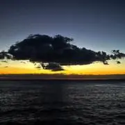 YU（翌日発送）の画像