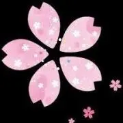 ✿SAKURA✿の画像