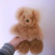 サリー