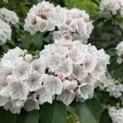 さぬき姫　プロフ見てね⤵️