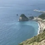 アロハ～