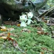 ひかさひ☆プロフ必読の画像