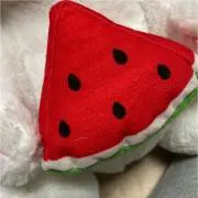ニノ推し＊