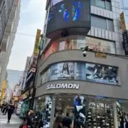 ありの画像