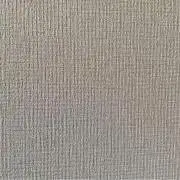 トラ男の画像