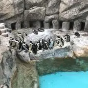 めるの画像