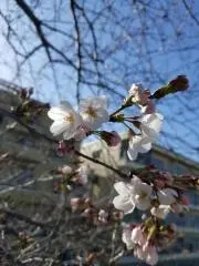 もぐ