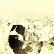 のんの画像