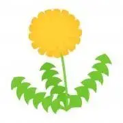 たんぽぽの画像