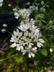 Image of Mono_tukuri