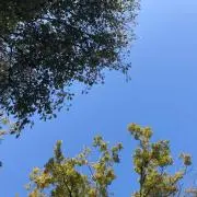 rkrkrkの画像