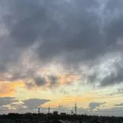 Yoの画像