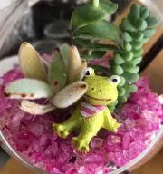 Nananaの画像