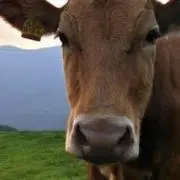 すずじょん　プロフィール要チェック