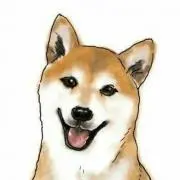柴田の画像