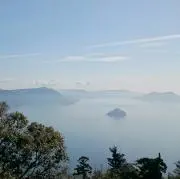 タツキの画像