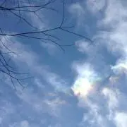 シェカ